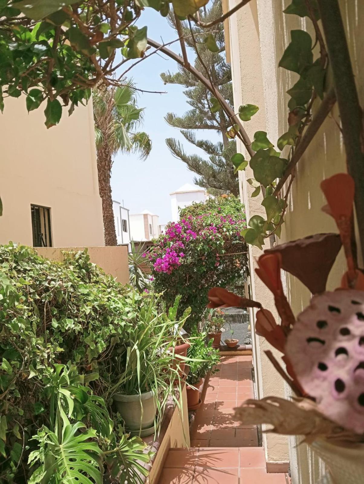 Casa Noray 18 Lejlighed Playa Honda  Eksteriør billede